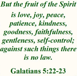 broken image: But the fruit of the spirit is love, joy, peace, patience, kindness, goodness, faithfulness, gentleness, self-control; against such things there is no law. Galatians 5:22-23
